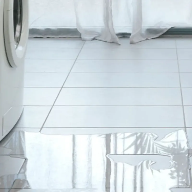 Appliance Leak Cleanup in Marquette, MI
