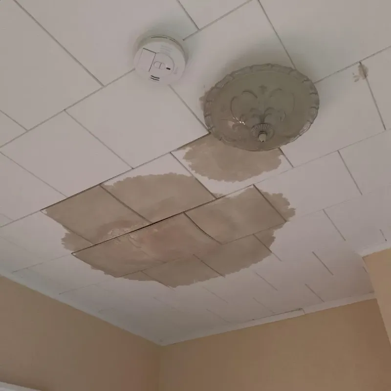Ceiling Water Damage Repair in Marquette, MI