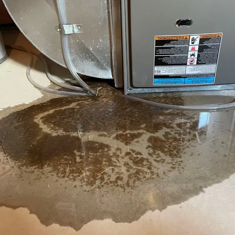 Pipe Burst and Leak Restoration in Marquette, MI